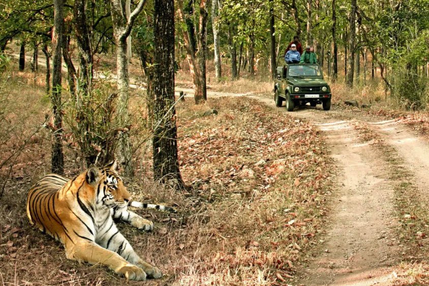 Bandhavgarh National Park, Madhya Pradesh